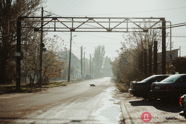 Нетуристическая Одесса, часть 3: поселок Большевик — район, который застыл во времени. Фоторепортаж