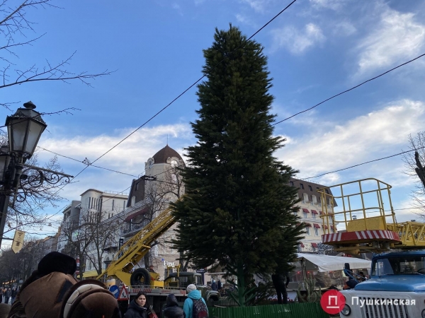 На Дерибасовской устанавливают елку: как это происходит. Фото