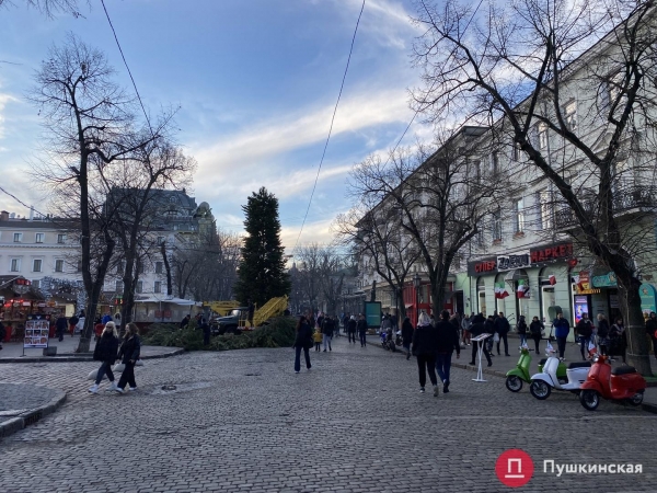 На Дерибасовской устанавливают елку: как это происходит. Фото