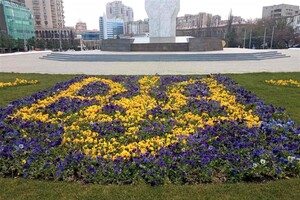 На площади 10 апреля появилась патриотическая цветочная композиция 