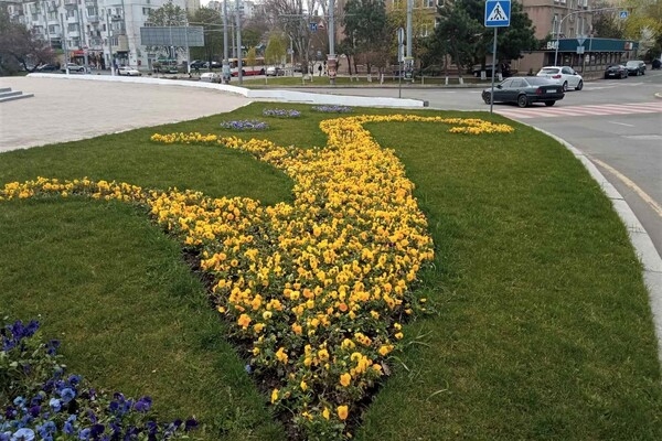 На площади 10 апреля появилась патриотическая цветочная композиция 