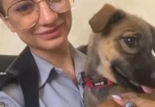 В Одессе неадекватный мужчина бил щенка молотком