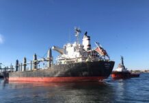 Зеленский сообщил, что Россия задерживает экспорт продовольствия из портов Одесской области