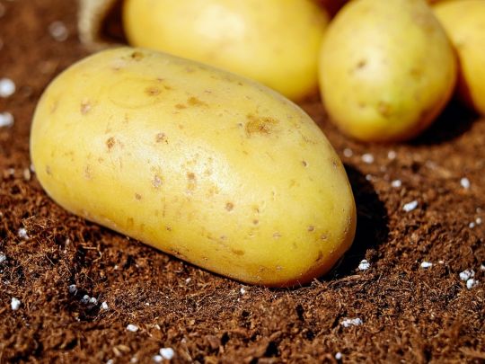 Не потрібні ані віск, ані парафін: лайфхак, як зробити свічку зі звичайної… картоплі