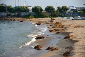 Мусор и плавни: в Одессе не убирают пляж в курортном микрорайоне
