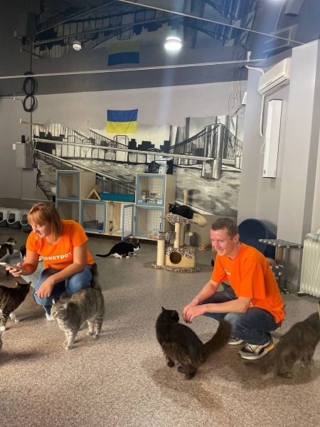 На захисті чотирилапих: «Фокстрот» та Happy Paw оголосили нову хвилю «Ф-підтримки»