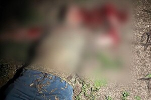 Женщина из Одесской области заказала убийство брата: не хотела делить с ним наследство